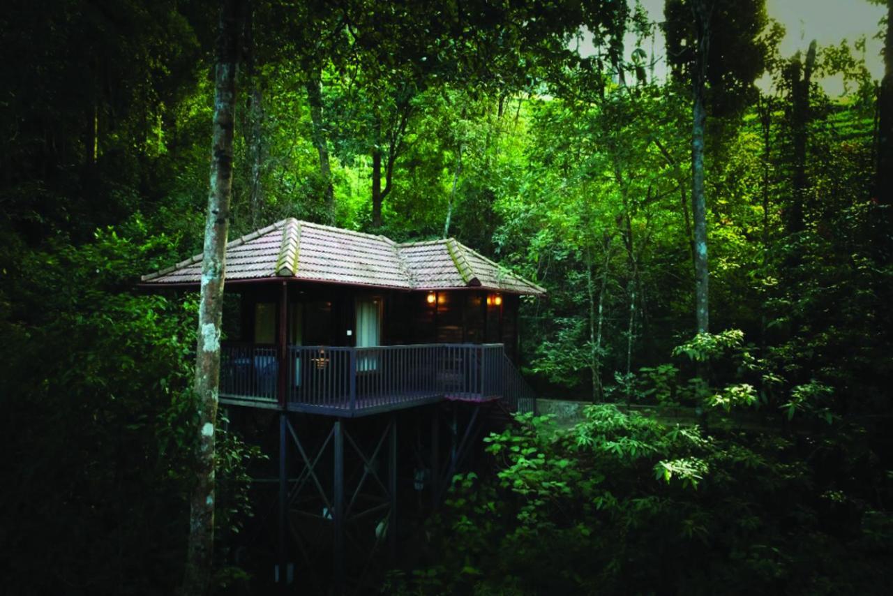 Wild Planet Jungle Resort Devala Екстер'єр фото